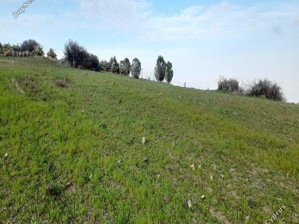 land for sale mitsero nicosia 1589136 image 16176848