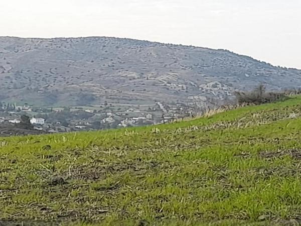 land for sale mitsero nicosia 1589136 image 16176851