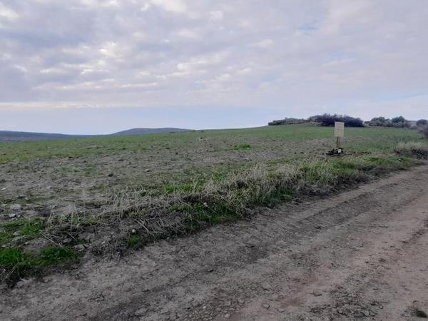 land for sale mitsero nicosia 1589136 image 16176856