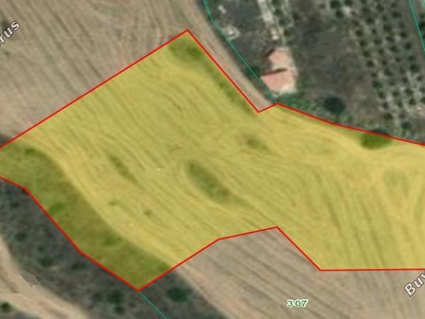 land for sale mitsero nicosia 1589136 image 16176857