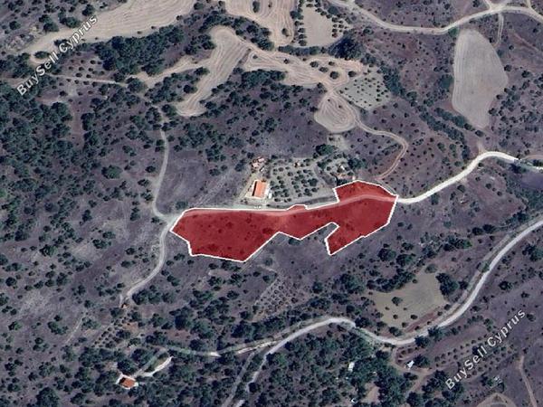 land for sale mitsero nicosia 8716136 image 16294313