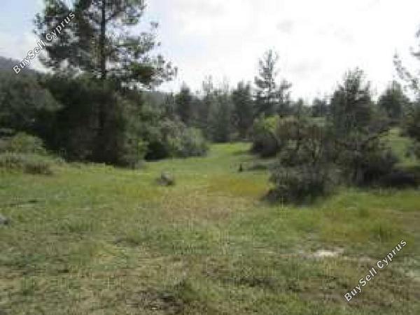 land for sale mitsero nicosia 8716136 image 16294314