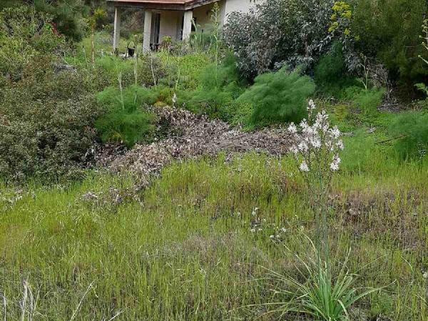 1 bedroom bungalow sold vasa kellakiou limassol 1262236 image 2013892