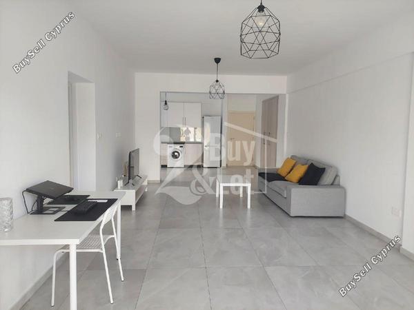 2 bedroom ground floor apartment for rent paphos municipality paphos 8748236 image 16461631