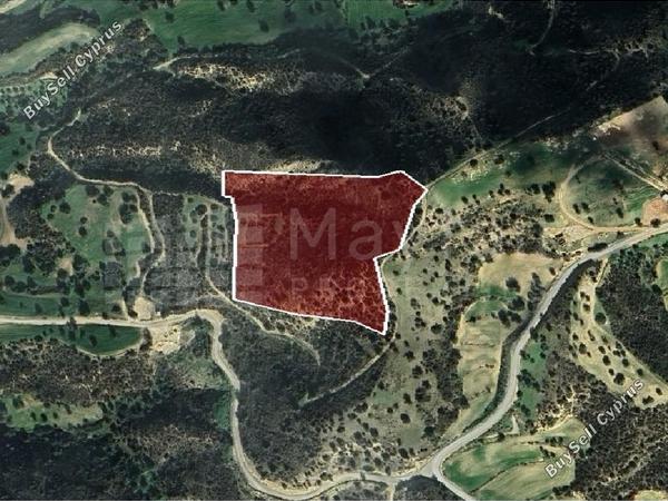 land for sale agios theodoros larnacas larnaca 7873236 image 11390320