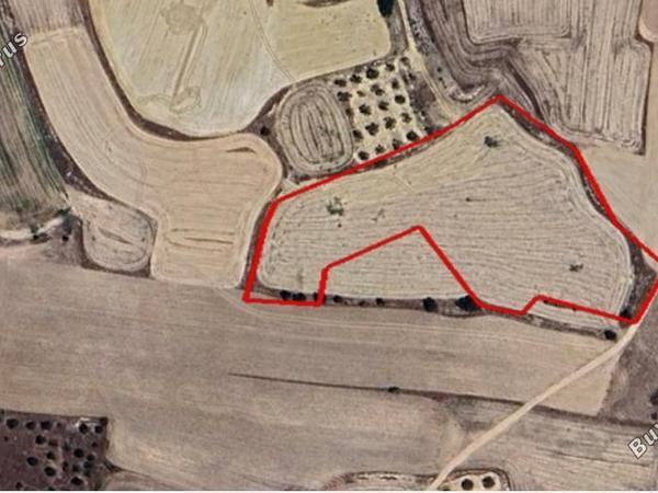 land for sale athienou larnaca 7729236 image 10122951
