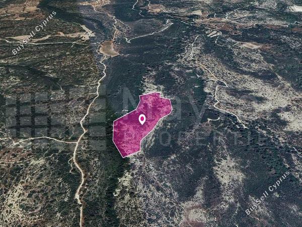land for sale platanisteia limassol 7872236 image 14115923