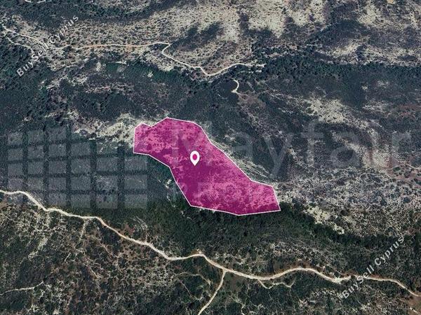 land for sale platanisteia limassol 7872236 image 14115925