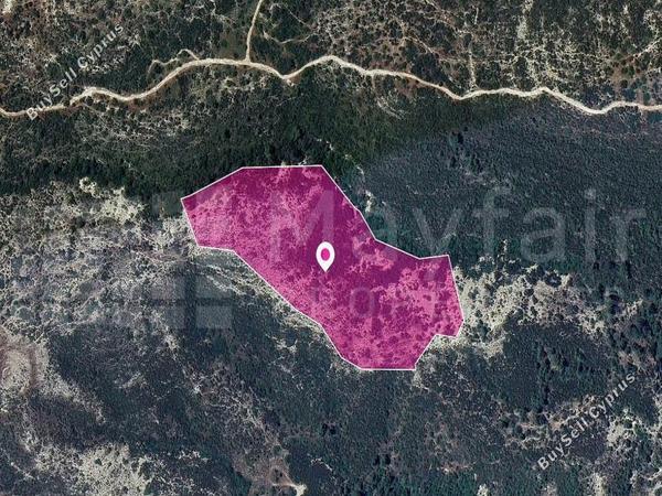 land for sale platanisteia limassol 7872236 image 14115927