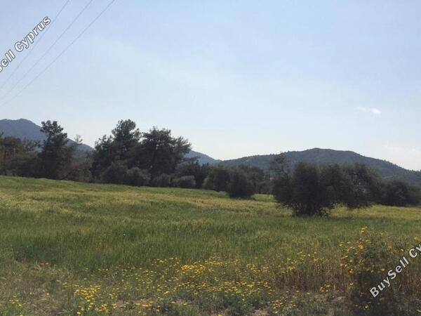 land for sale pyrga larnaca 831236 image 2346723