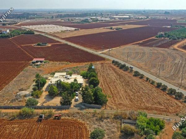 4 bedroom bungalow for sale ormideia larnaca 1167336 image 5619962