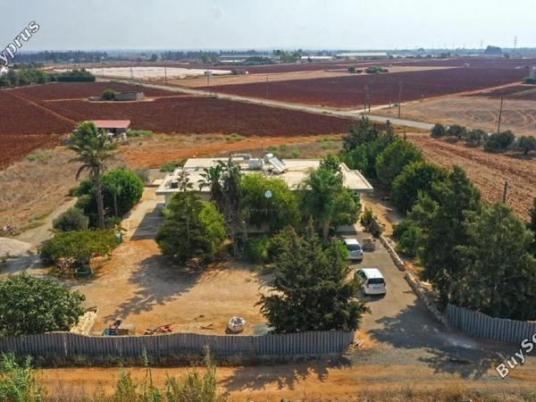 4 bedroom bungalow for sale ormideia larnaca 1167336 image 5619965
