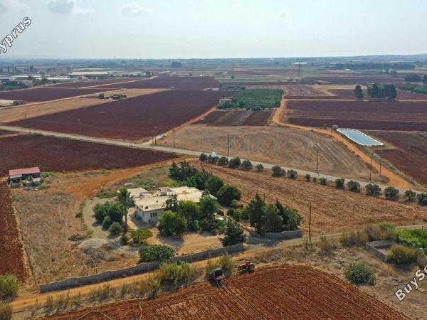 4 bedroom bungalow for sale ormideia larnaca 1167336 image 5619977