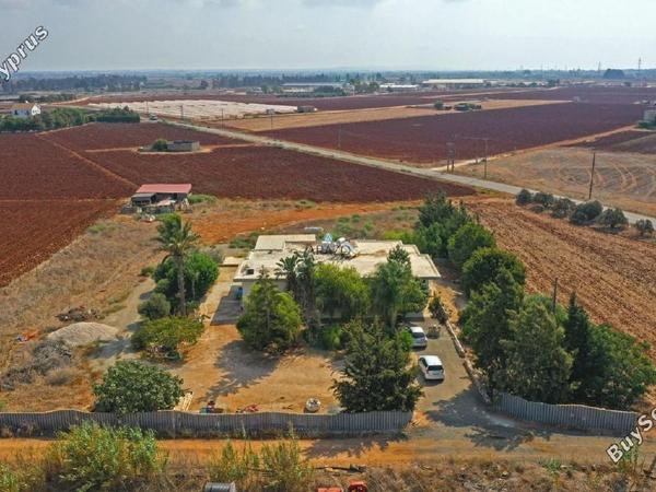 4 bedroom bungalow for sale ormideia larnaca 1167336 image 5620062