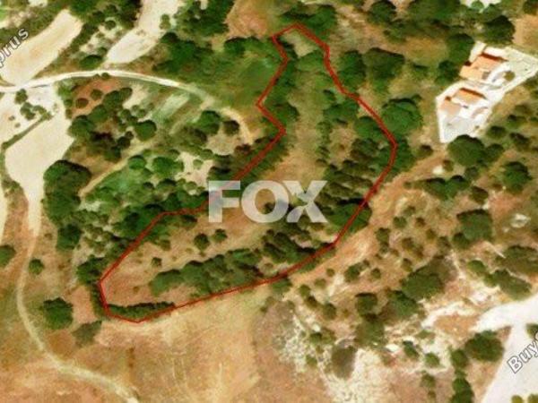 land for sale armou paphos 1159336 image 5521884