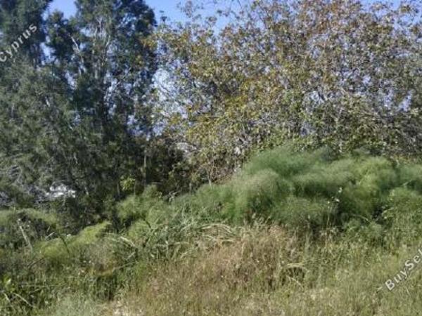 land for sale armou paphos 7535336 image 9475584