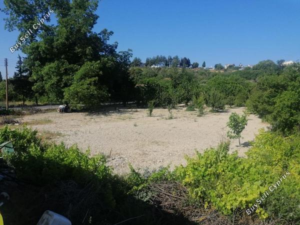 land for sale kathikas paphos 1845336 image 6633847