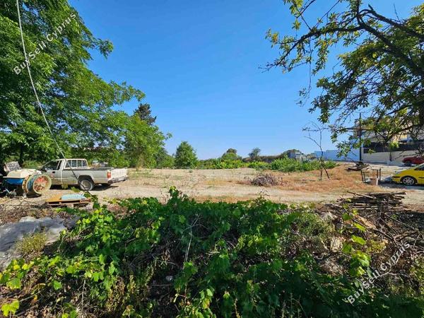 land for sale kathikas paphos 1845336 image 6769120