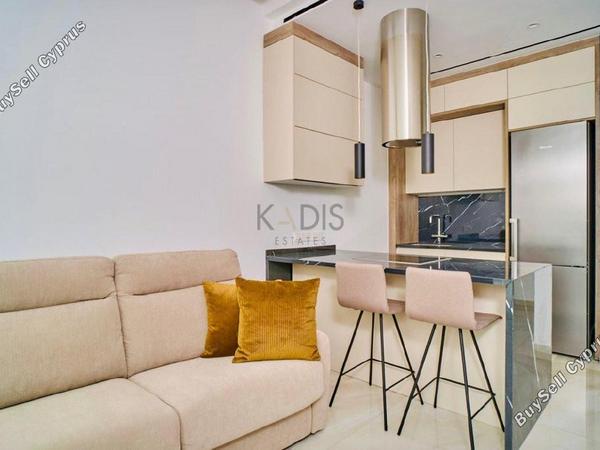 1 bedroom apartment for sale potamos germasogeias limassol 1703436 image 13653336
