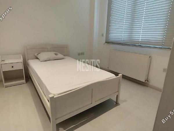 2 bedroom apartment for rent agios dometios nicosia 1940436 image 10549546