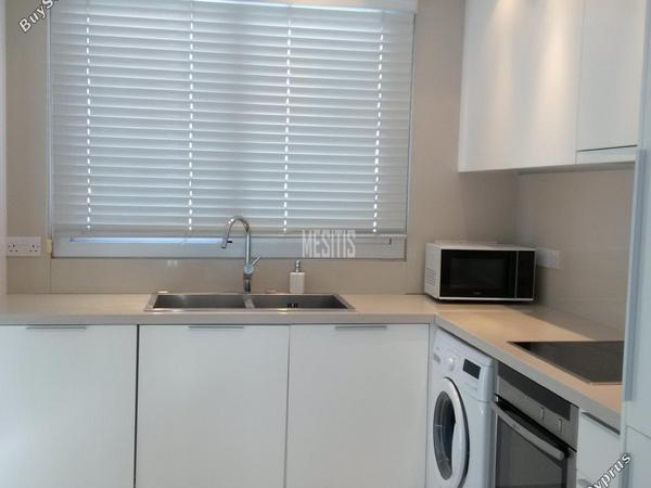 2 bedroom apartment for rent agios dometios nicosia 1940436 image 10549554