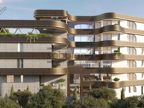 3 bedroom apartment for sale paphos municipality paphos 8737436 image 16354911
