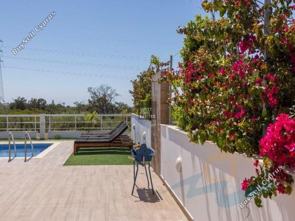 3 bedroom detached house for sale ayia napa famagusta 8560436 image 16531472