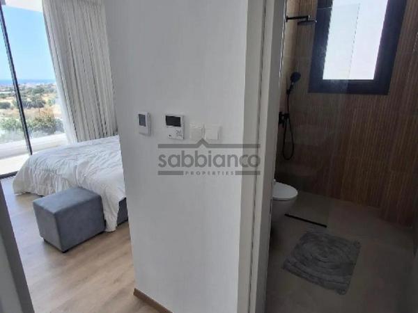 3 bedroom detached house for sale chlorakas paphos 8752436 image 16502396