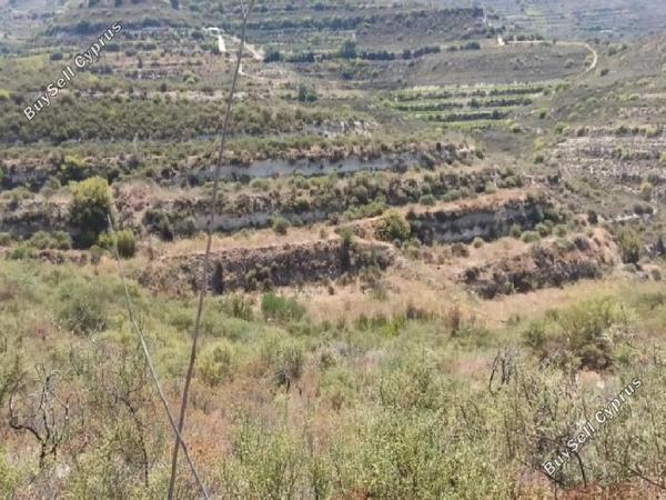 land for sale pachna limassol 1353436 image 15598683