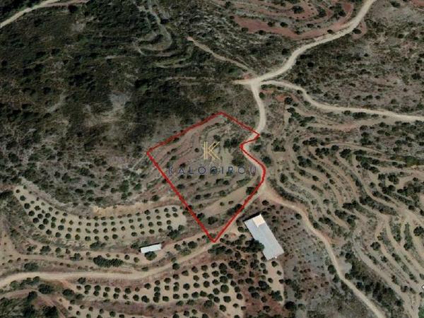 land for sale agioi vavatsinias larnaca 1649536 image 5638107