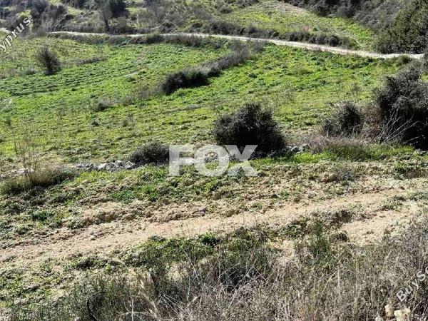 land for sale agios ambrosios limassol 1285536 image 5585221