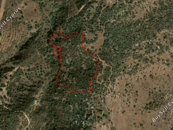 land for sale neo chorio paphos 828536 image 15177935