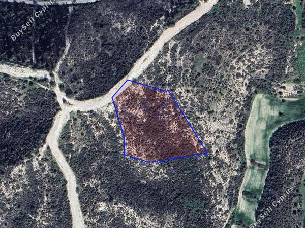 land for sale tochni larnaca 8698536 image 16205382