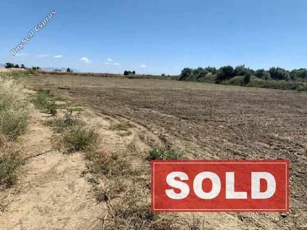land sold pera orinis nicosia 944536 image 6522391