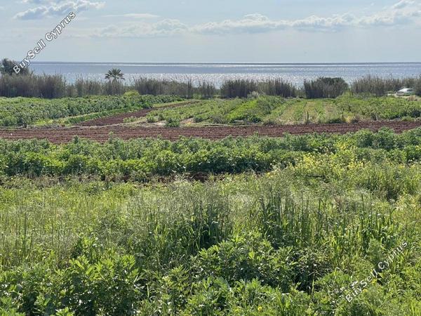 plot for sale ormideia larnaca 1313536 image 16119546