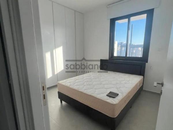 3 bedroom apartment for rent egkomi nicosia 8748636 image 16467161