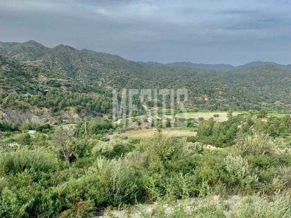 land for sale agios mamas limassol 1285636 image 15915004