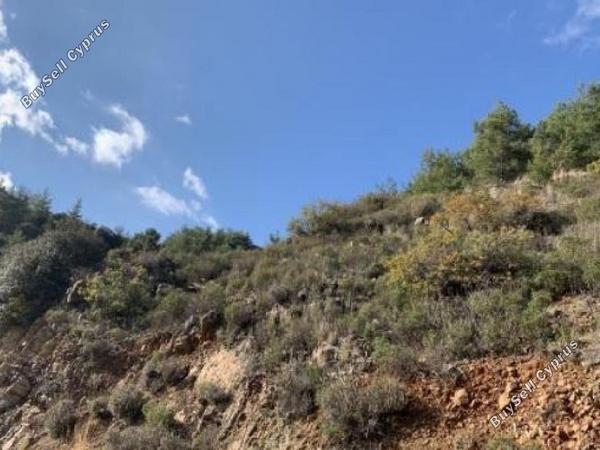 land for sale palaichori oreinis nicosia 826636 image 15603427