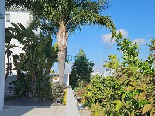 4 bedroom semi detached house for sale livadia larnacas larnaca 7982736 image 16693044