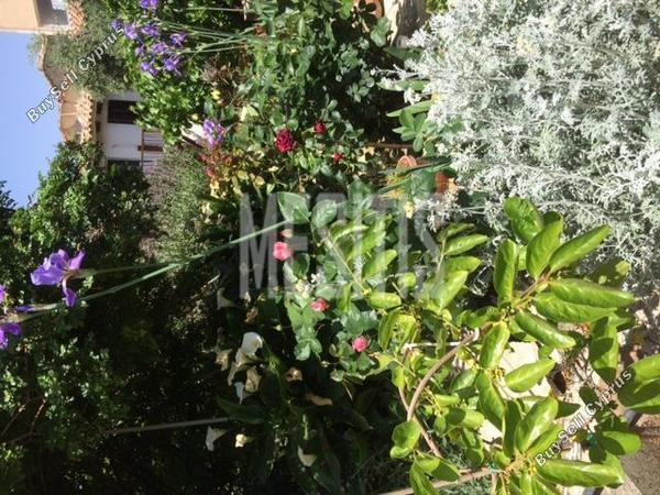 5 bedroom town house for sale kapedes nicosia 1752736 image 10535566
