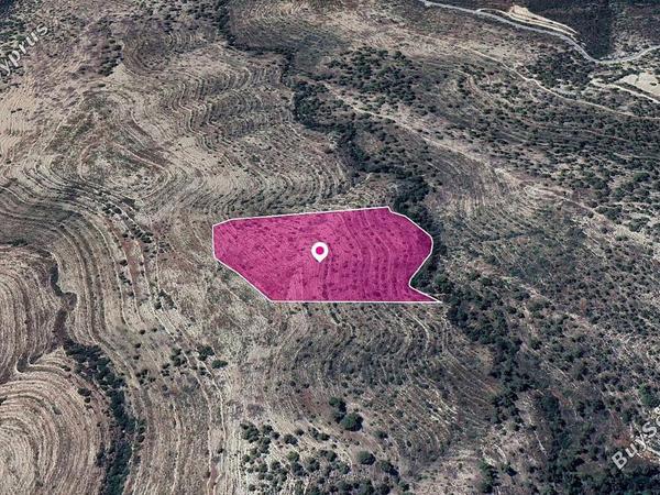land for sale agios therapon limassol 1213736 image 14889124