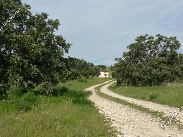 land for sale alaminos larnaca 830736 image 4125585