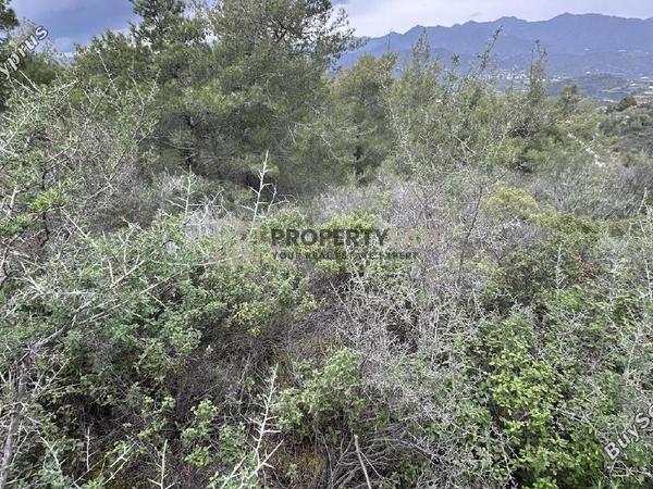 land for sale kellaki limassol 8390736 image 16553453