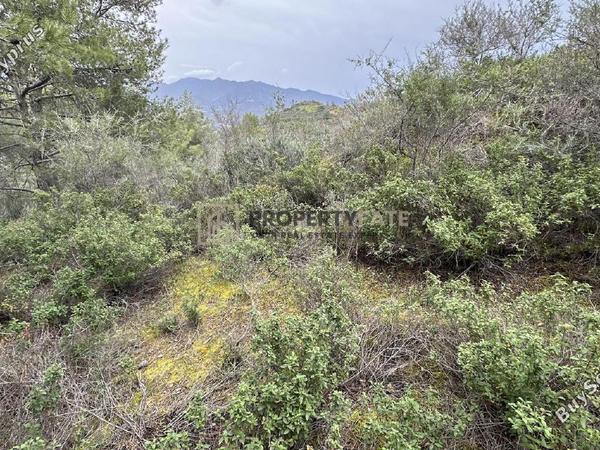 land for sale kellaki limassol 8390736 image 16553458
