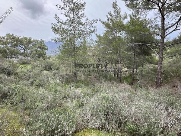 land for sale kellaki limassol 8390736 image 16553460