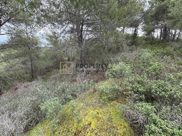 land for sale kellaki limassol 8390736 image 16553463
