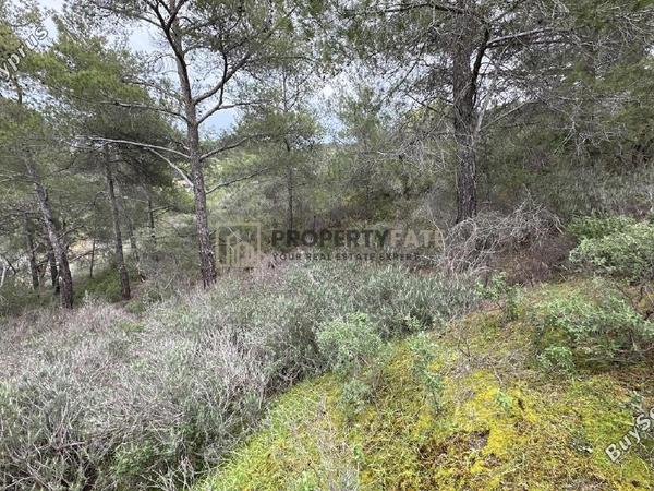 land for sale kellaki limassol 8390736 image 16553465
