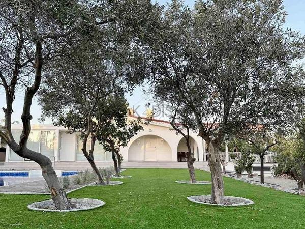 4 bedroom detached house for rent moni limassol 8565836 image 17088207