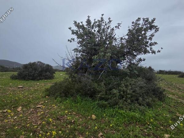 land for sale pentakomo limassol 8254836 image 13896428