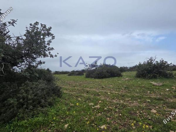 land for sale pentakomo limassol 8254836 image 13896432
